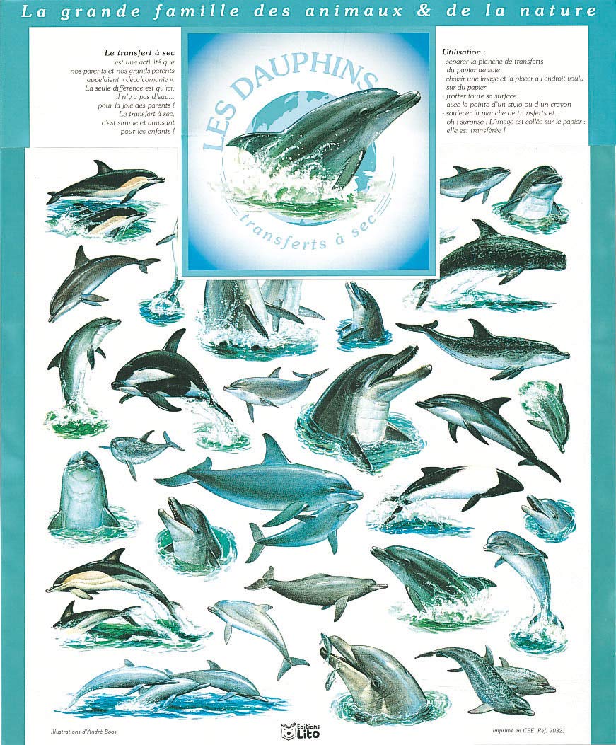 Les dauphins 9782244703213