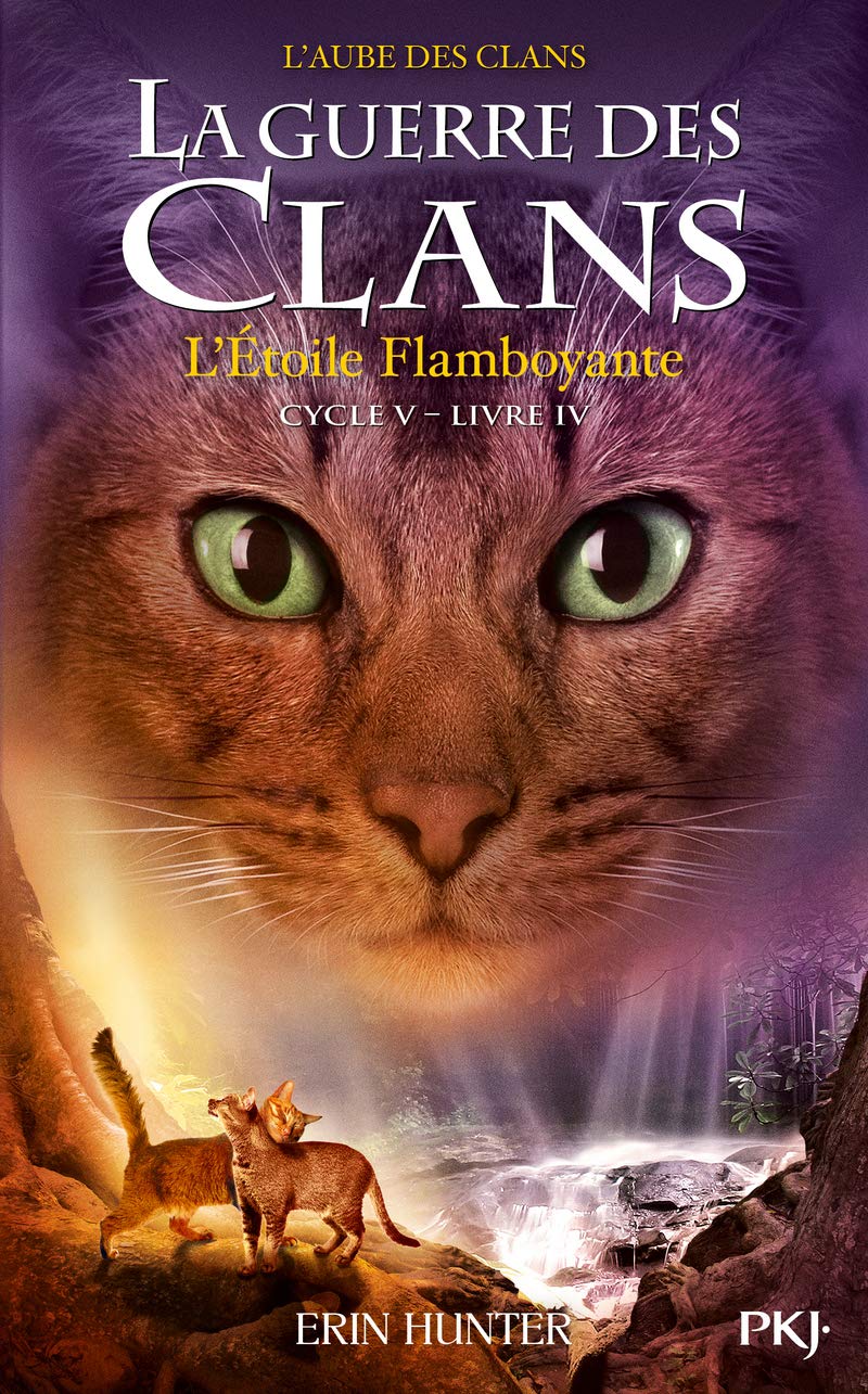 La guerre des Clans cycle V - tome 4 L'Etoile Flamboyante (4) 9782266294232