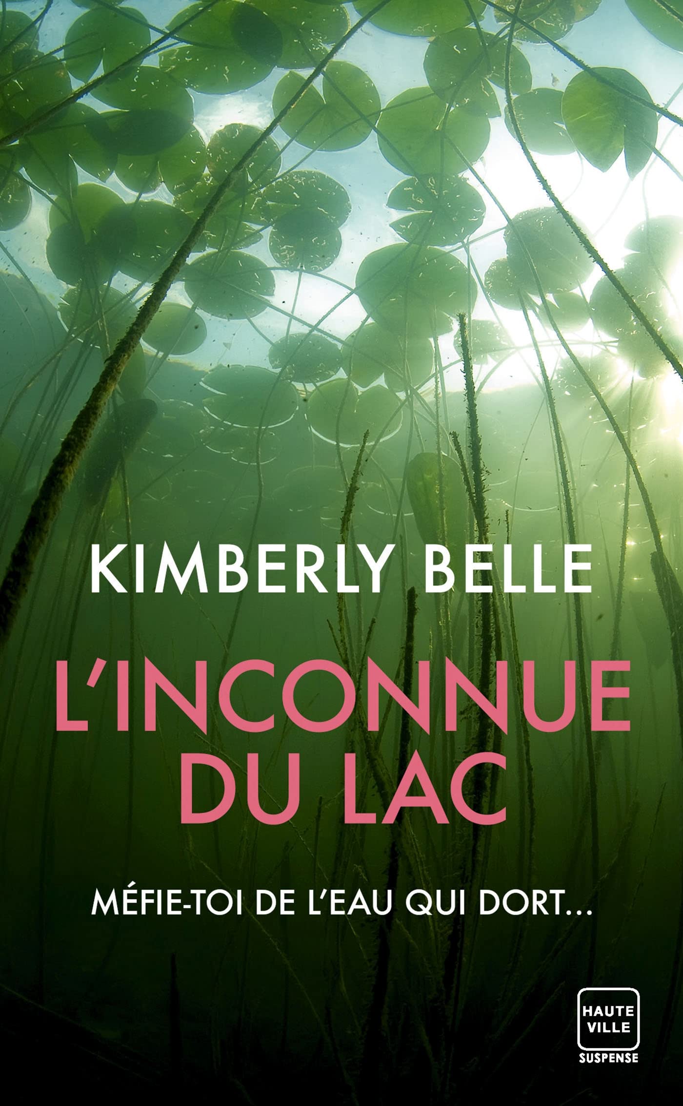 L'Inconnue du lac 9782381222004