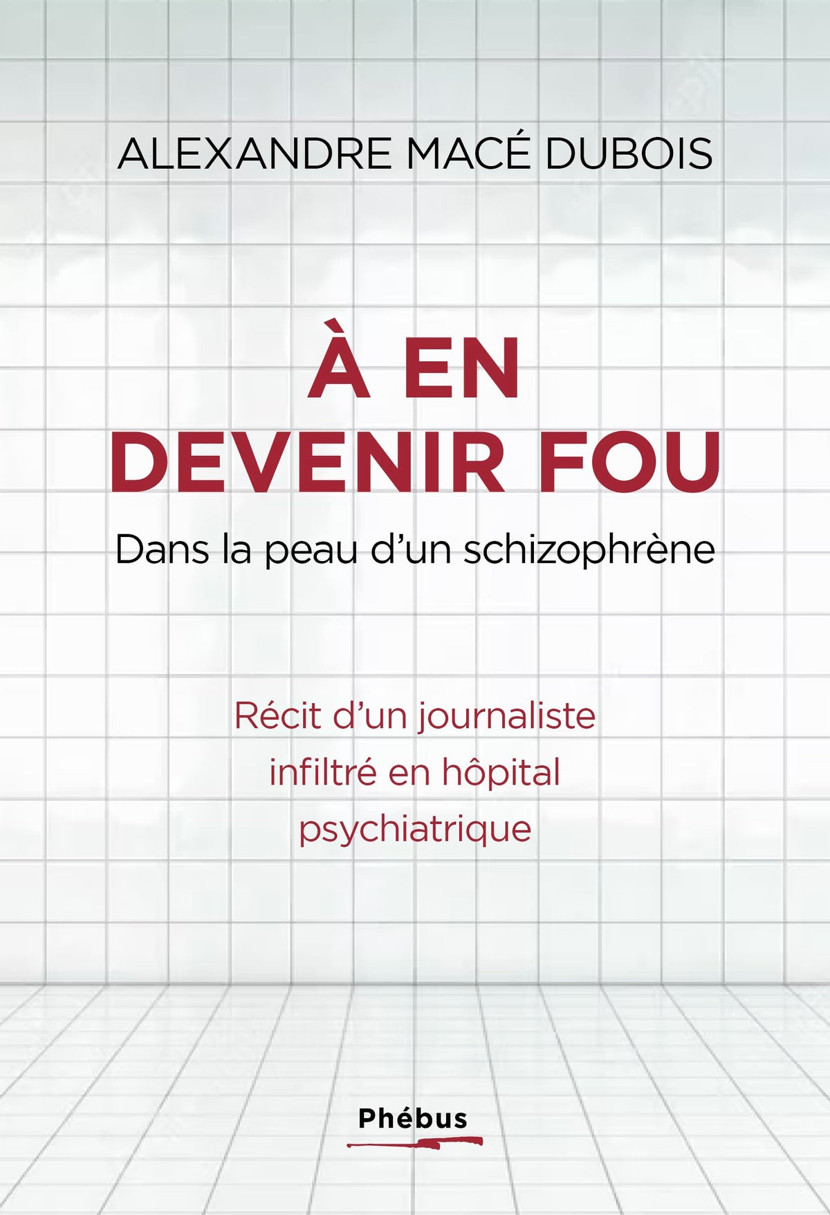 A en devenir fou: Et si l'hôpital psychiatrique fabriquait plus de malades qu'il n'en soigne ? 9782752913746