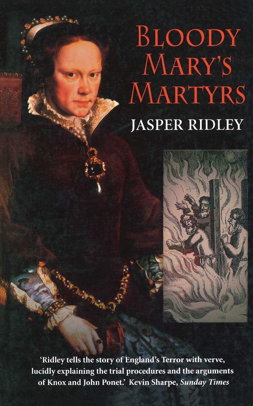 Bloody Mary's Martyrs: The Story of England's Terror 9781841195353