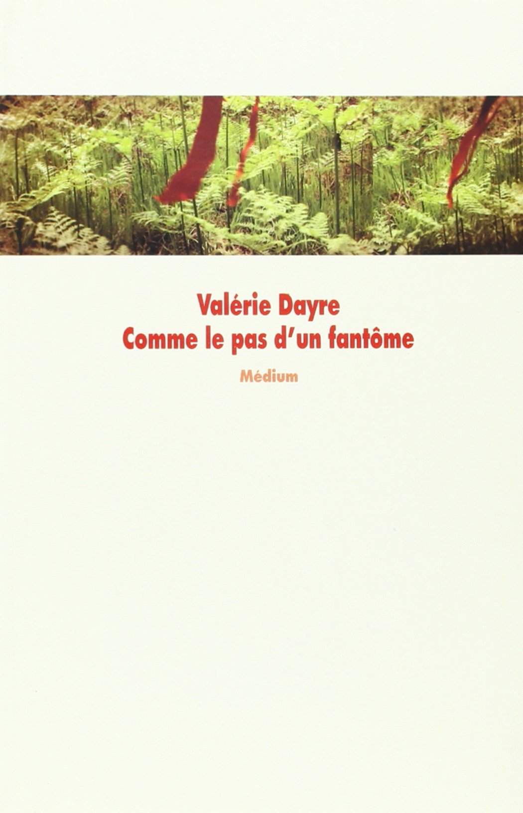 Comme le pas d'un fantôme 9782211065214