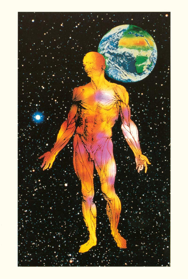 Votre santé : Encyclopédie médicale à l'usage de tous 9782221056929