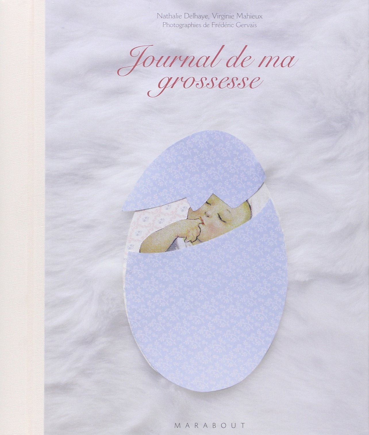 Journal de ma grossesse 9782501046978