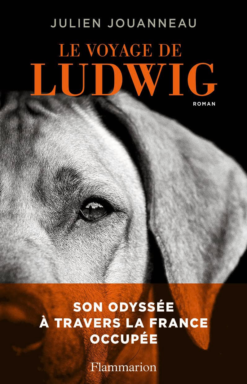 Le Voyage de Ludwig 9782081439528