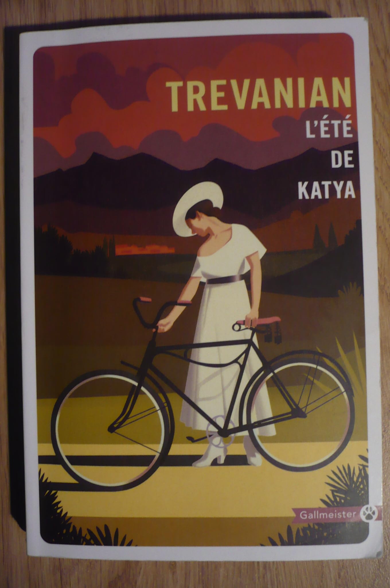 L'été de Katya 9782351787823
