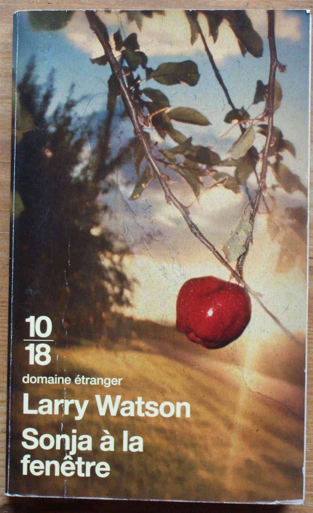 SONJA A LA FENETRE 9782264040435