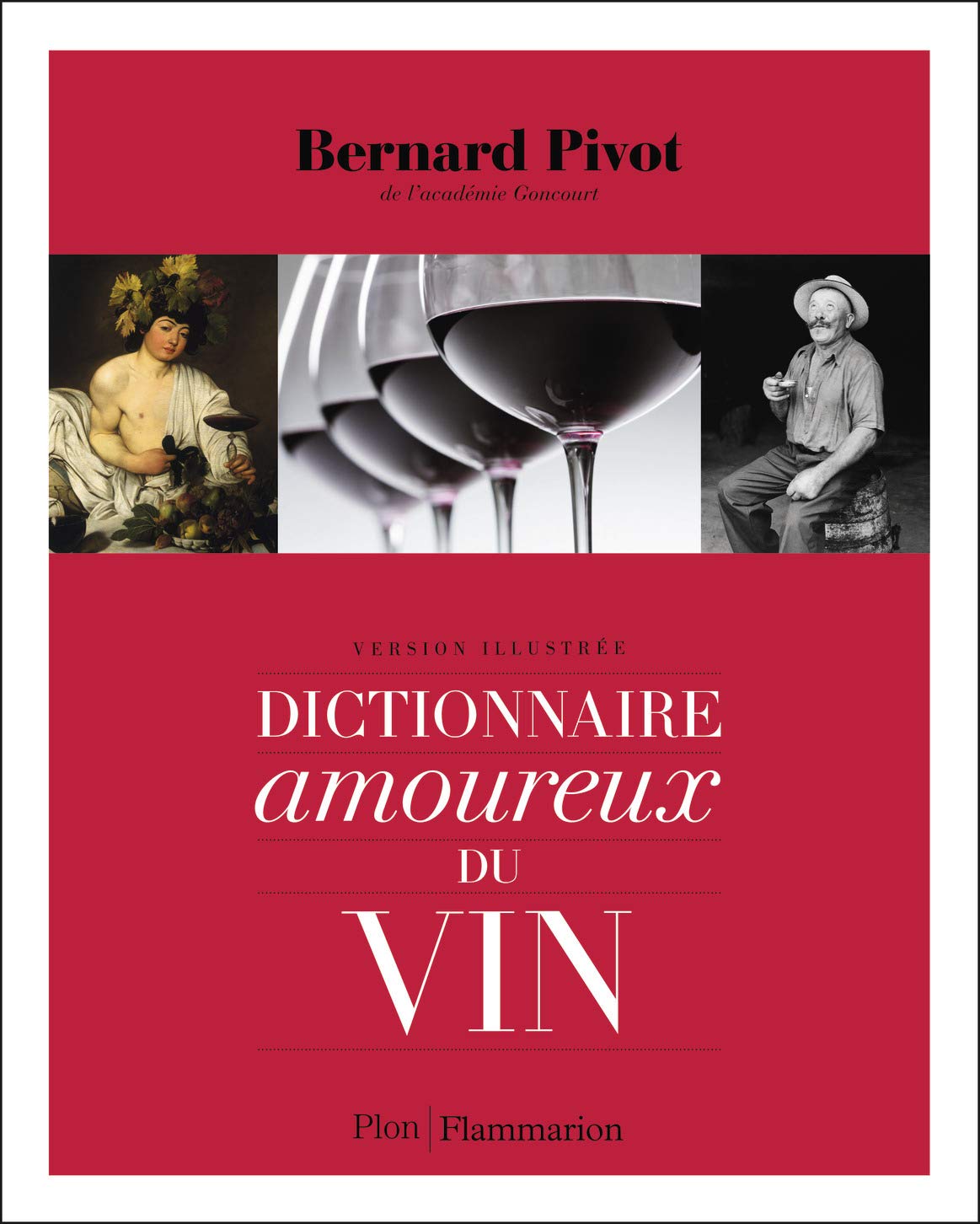 Dictionnaire amoureux du vin 9782081297845