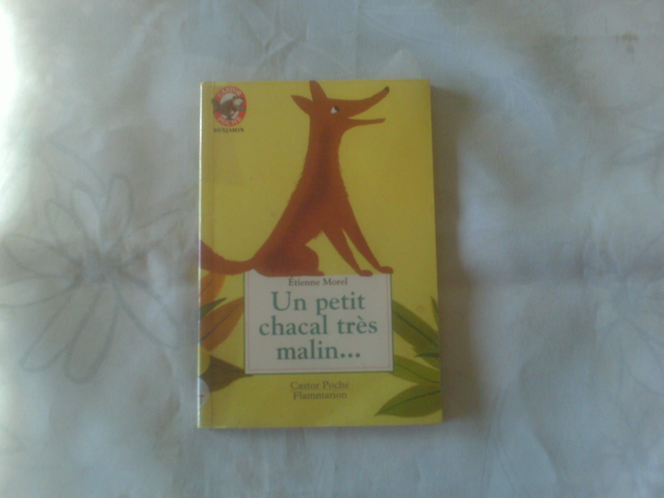 Un petit chacal très malin, un brahmane très bon et un tigre très bête: D'après un conte hindou 9782081629226