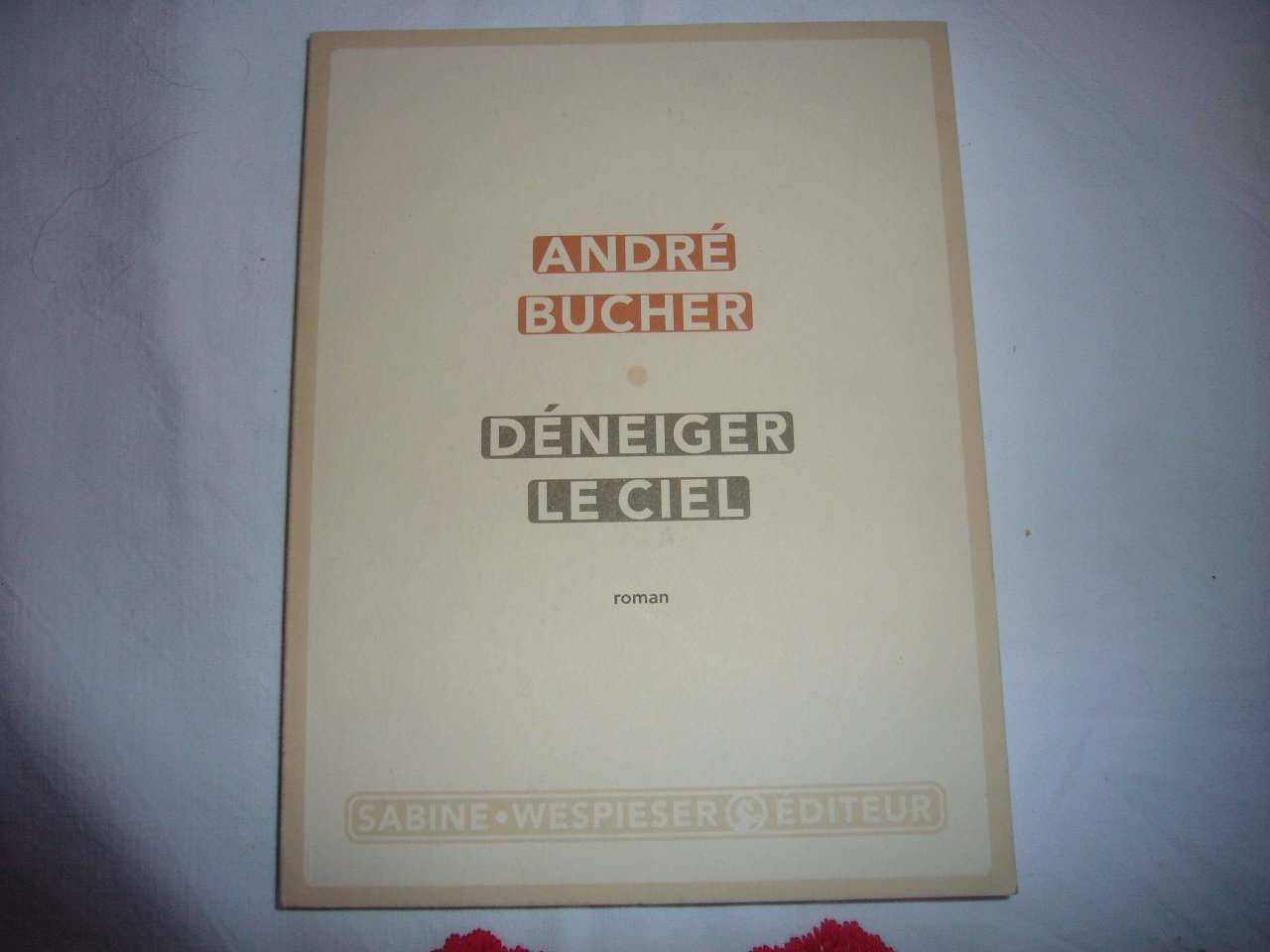 Déneiger le ciel 9782848050508
