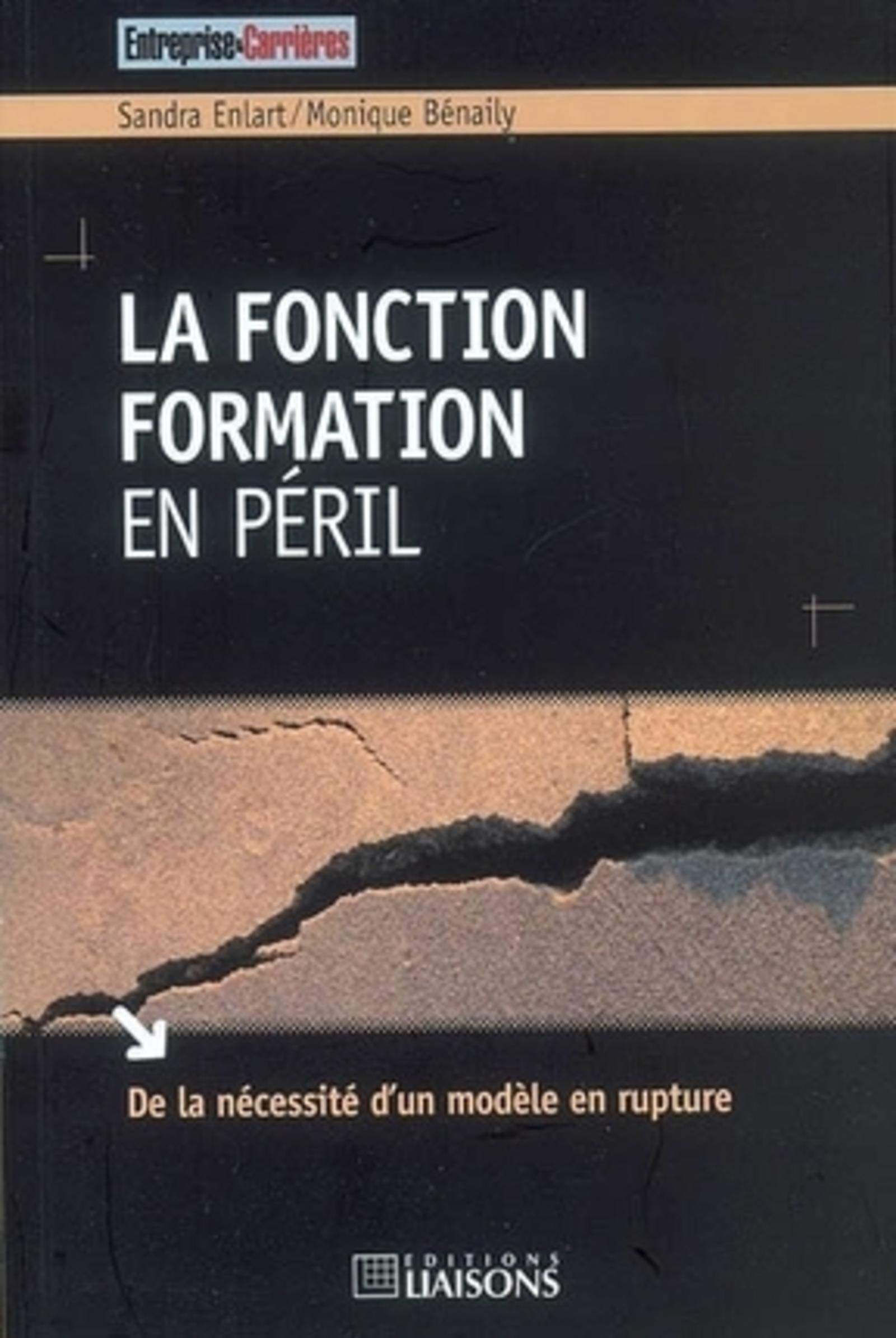 La fonction formation en péril: De la nécessité d'un modèle en rupture 9782878807493