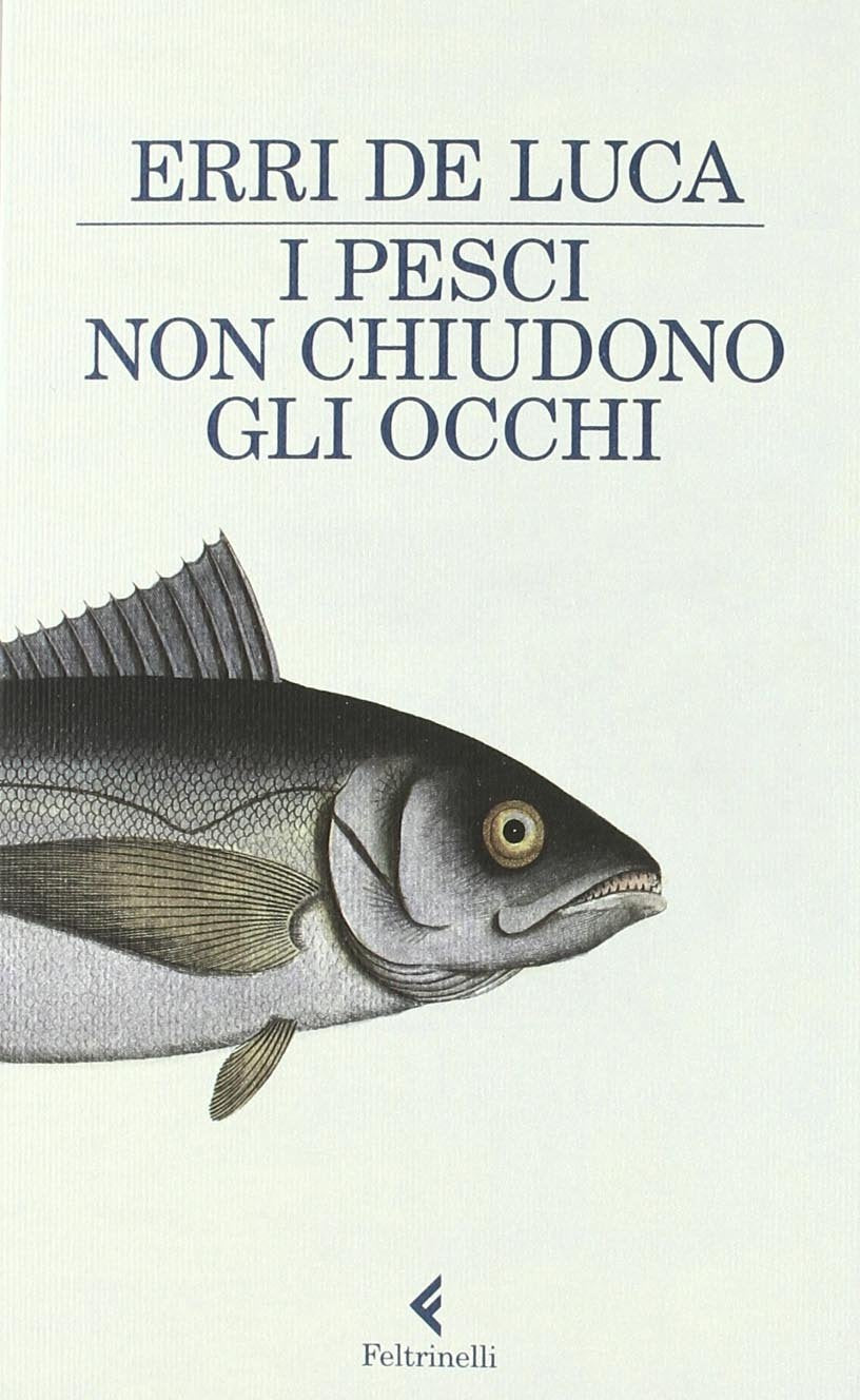 I pesci non chiudono gli occhi 9788807018558