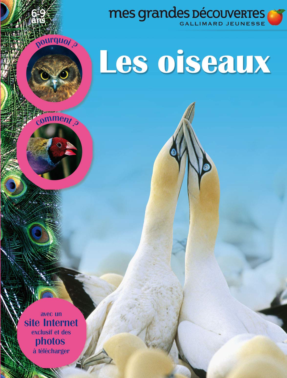 LES OISEAUX - Mes Grandes Découvertes - 6/9 ans 9782070630455