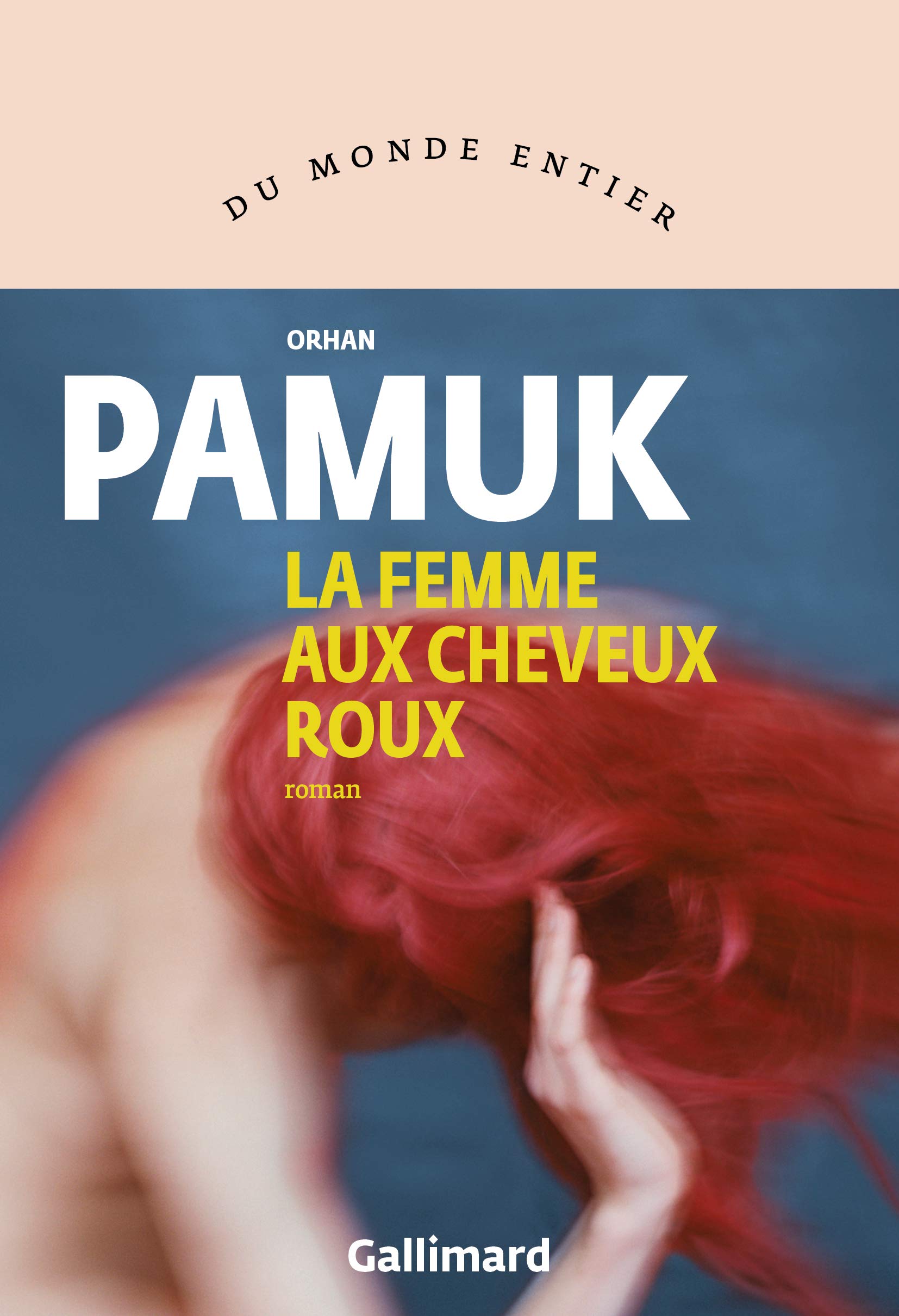 La Femme aux Cheveux roux 9782072720048