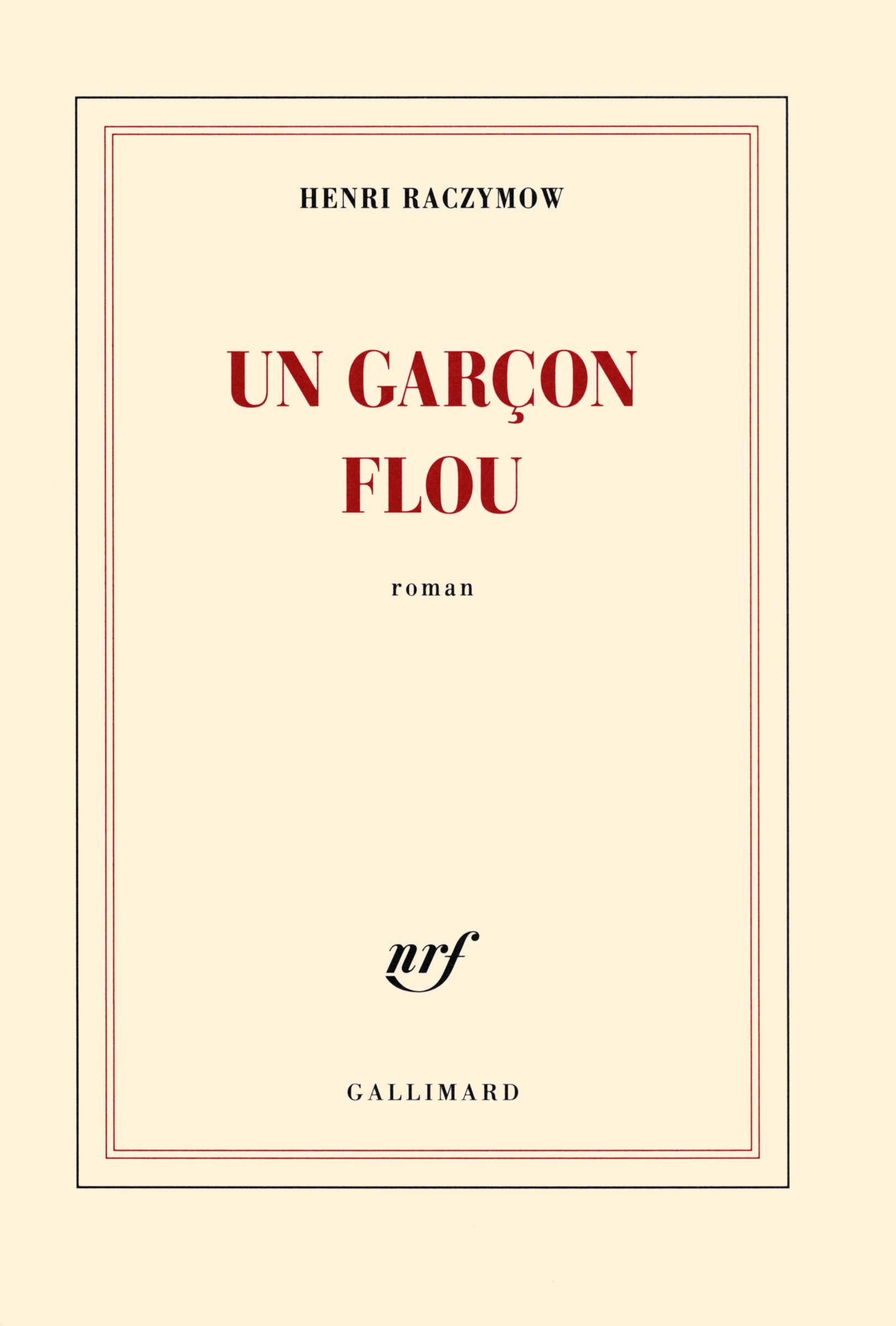 Un garçon flou 9782070141913