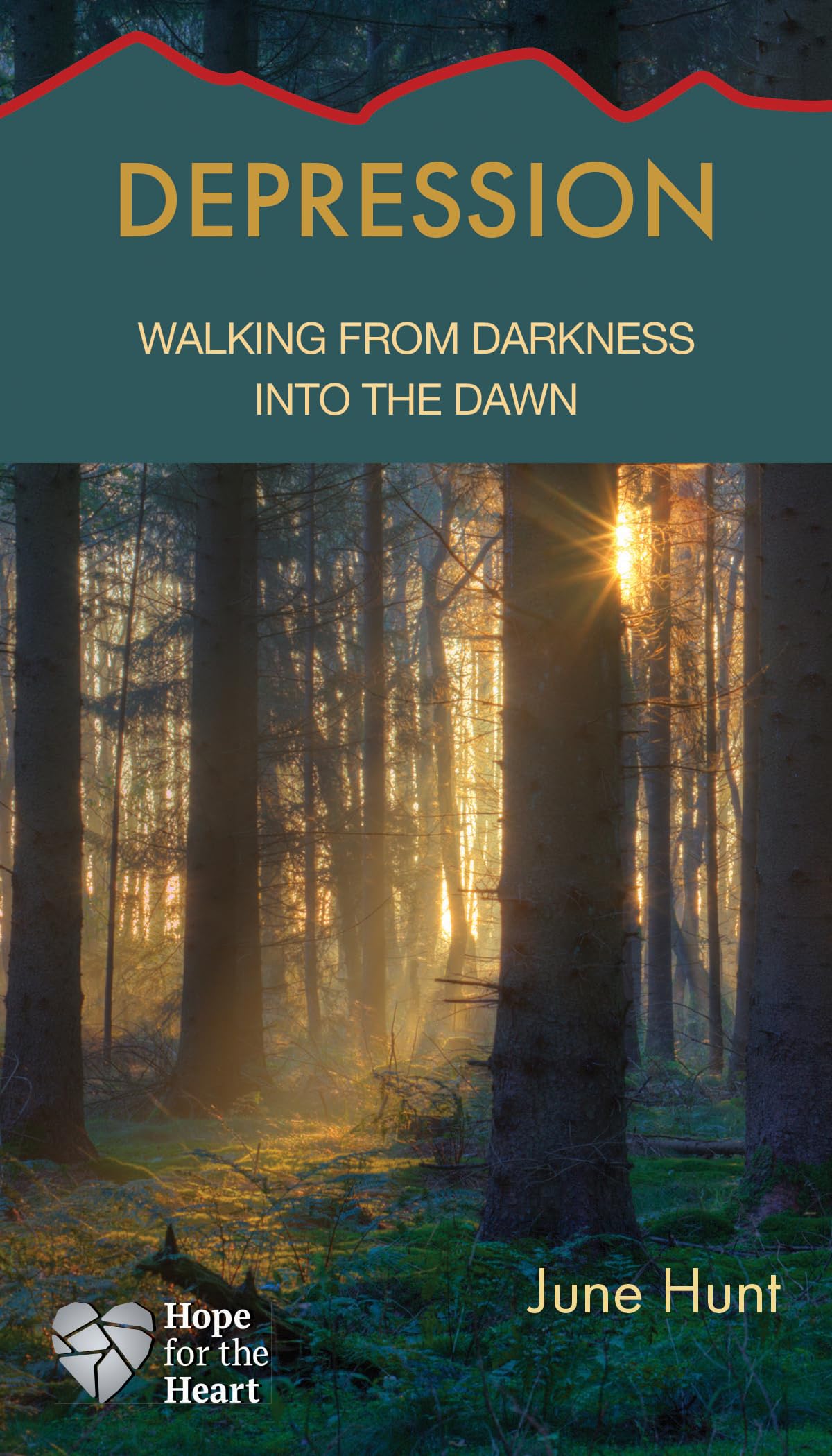 Depression: Walking from Darkness into the Dawn 9781596366497