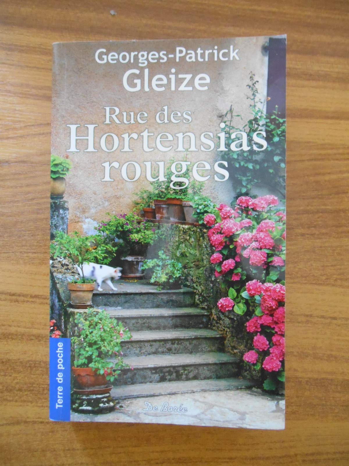 RUE DES HORTENSIAS ROUGES 9782812907319