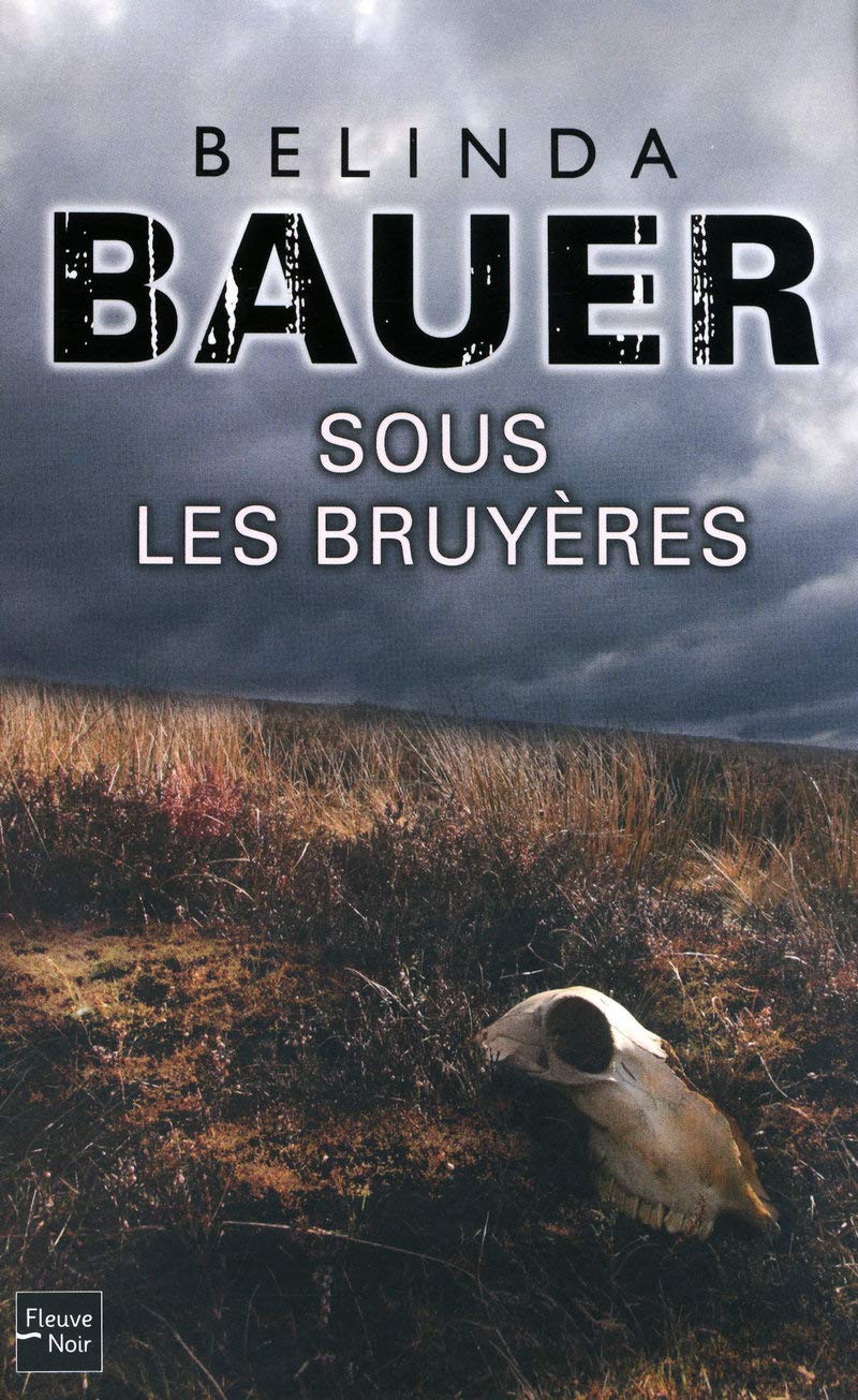 Sous les bruyères 9782265088634