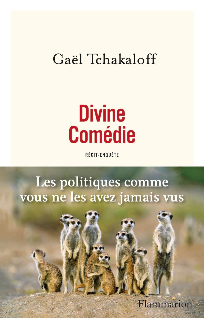 Divine Comédie 9782081408166