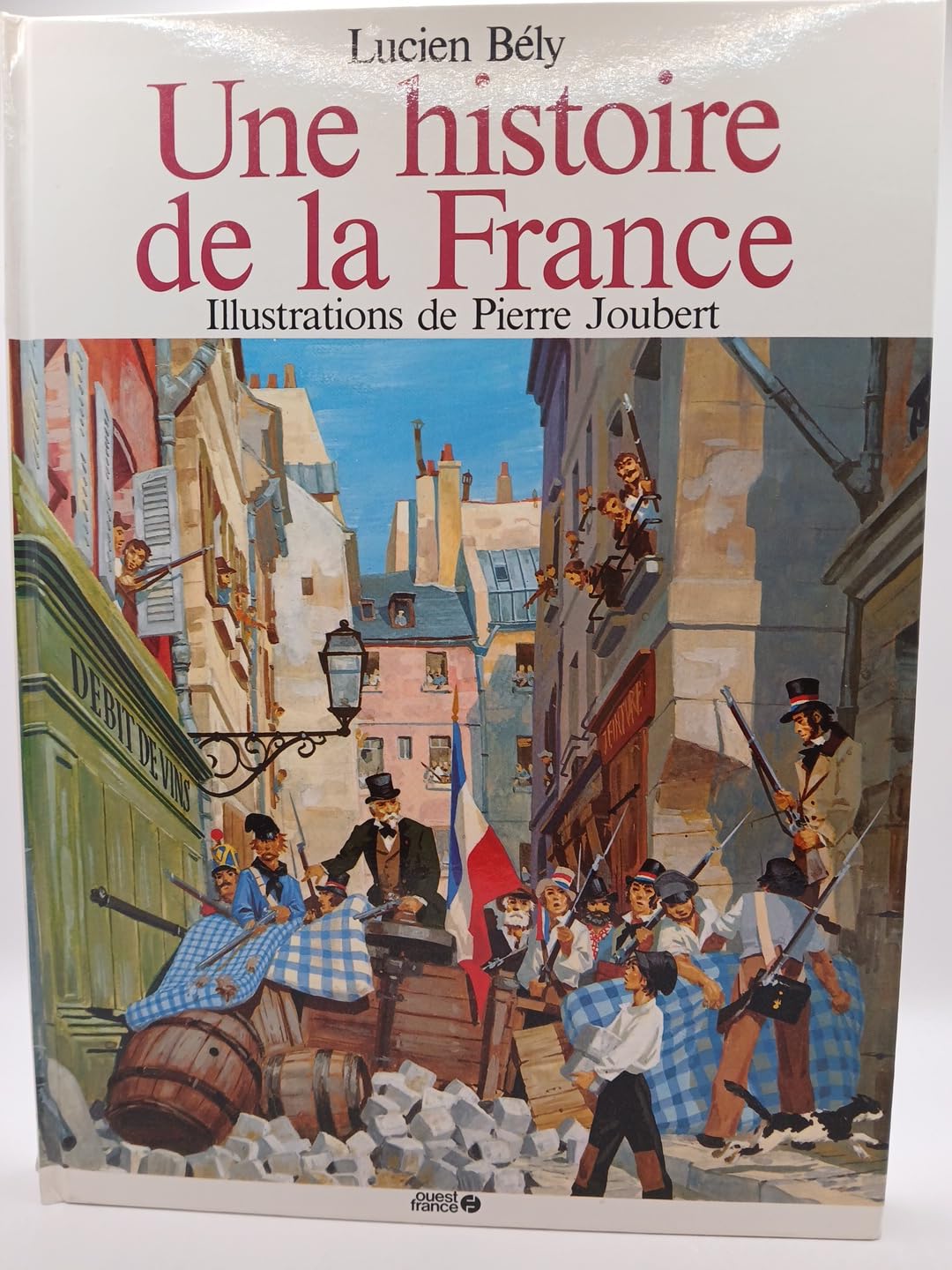 Une histoire de France 9782858823017