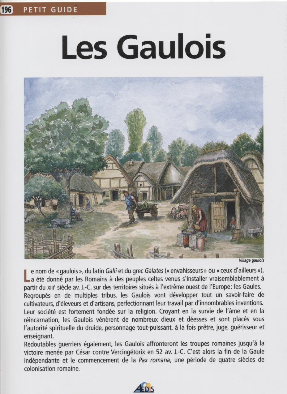 PG196 - Les Gaulois 9782842592950