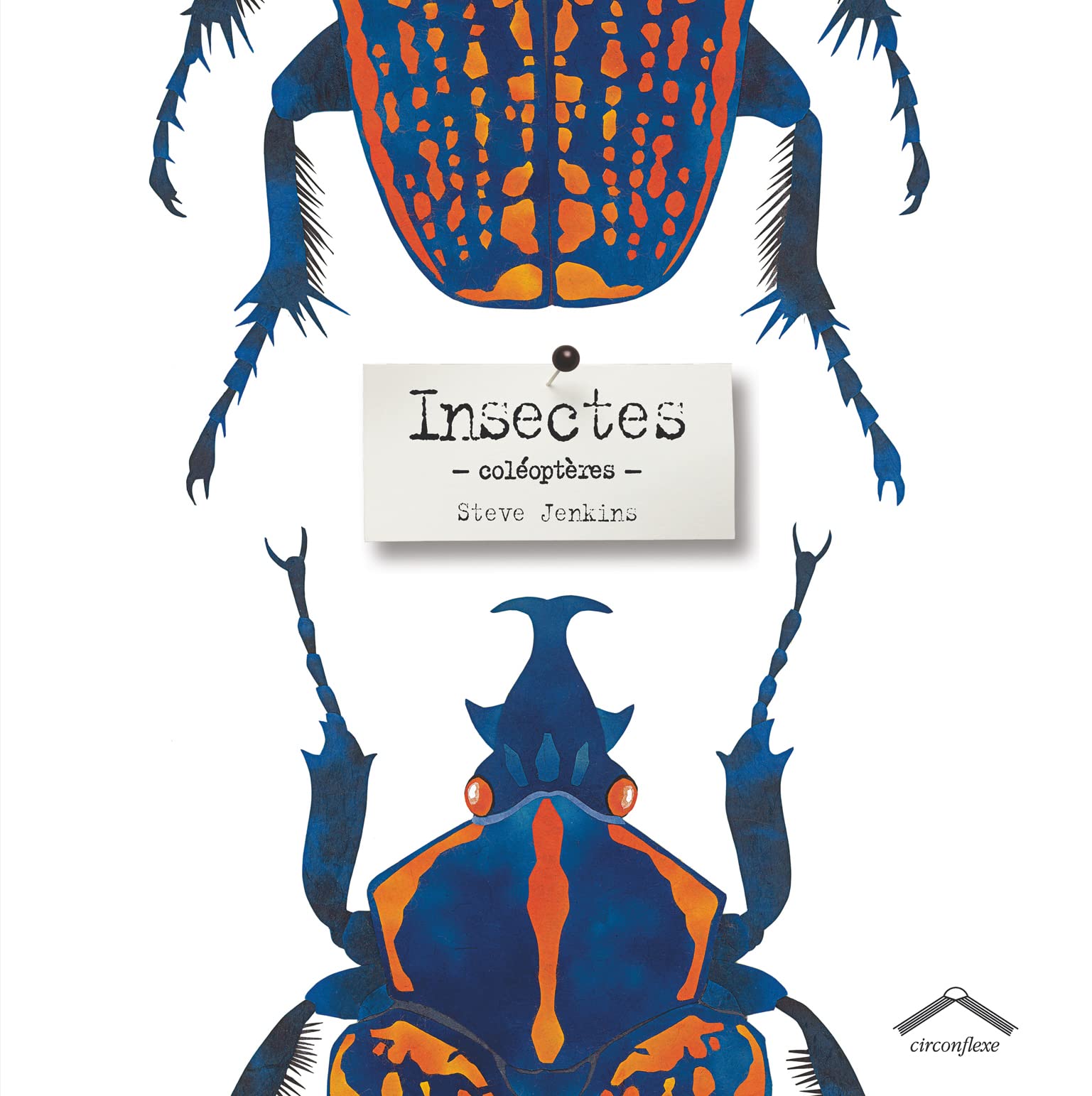 Insectes: Coléoptères 9782878336078