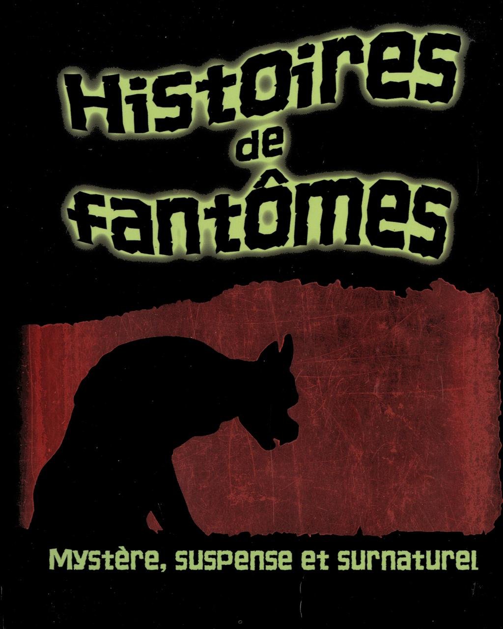 HISTOIRES DE FANTOMES 9782700014945