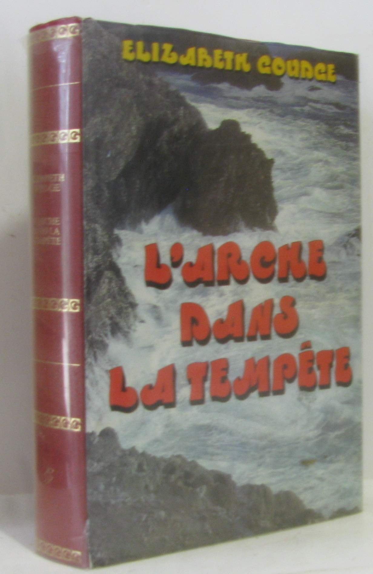 Arche dans la tempête 9782261003471
