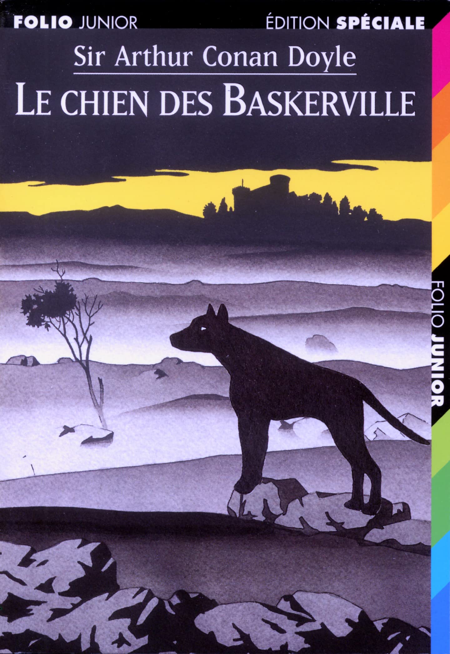 Le Chien des Baskerville 9782070513468