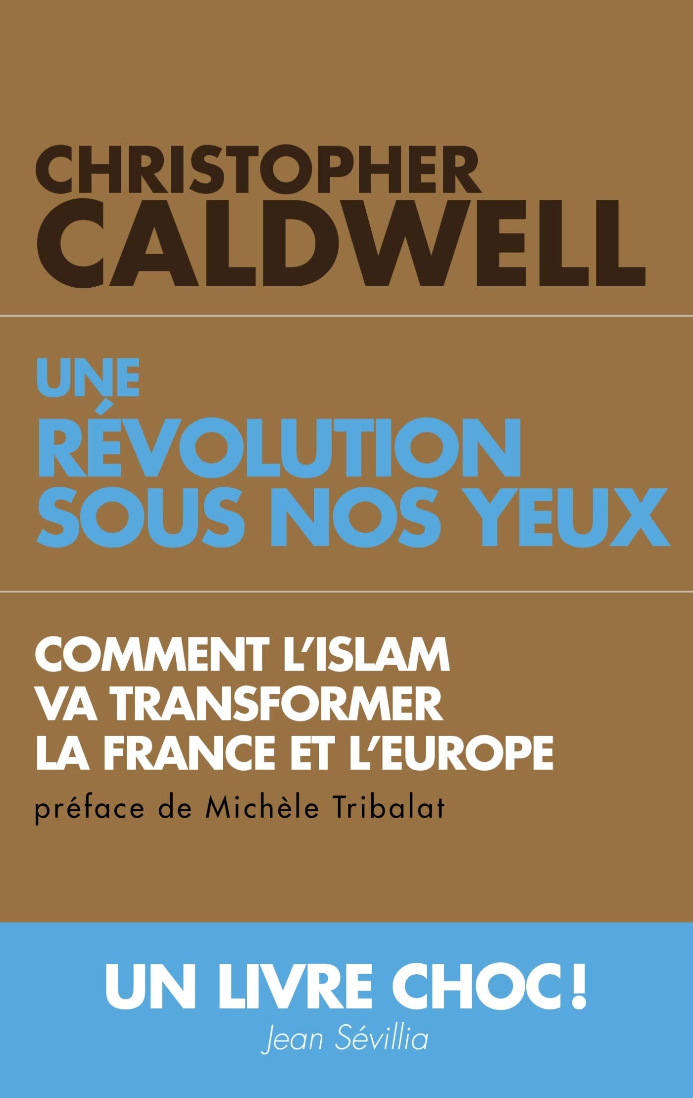 Une révolution sous nos yeux : Comment l’islam va transformer la France et l’Europe 9782810005703