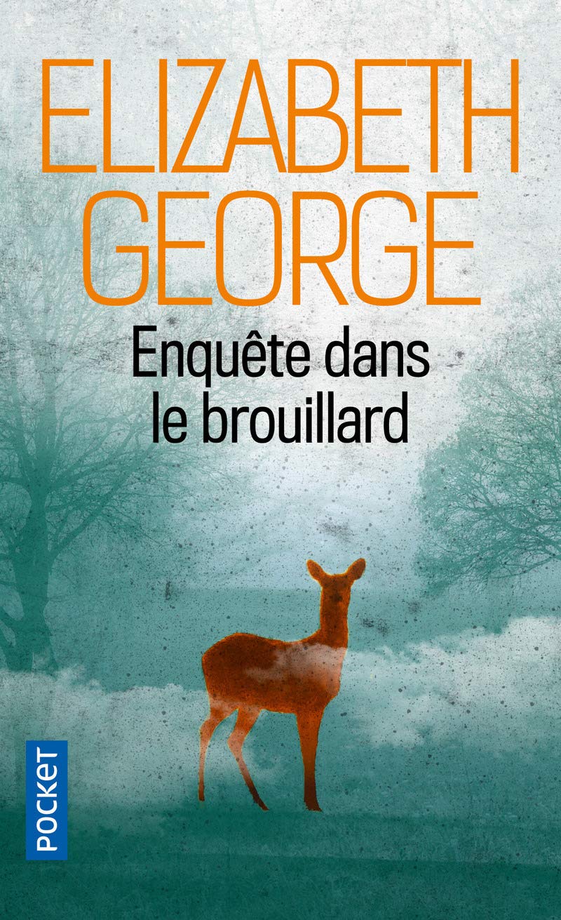 Enquête dans le brouillard 9782266274746