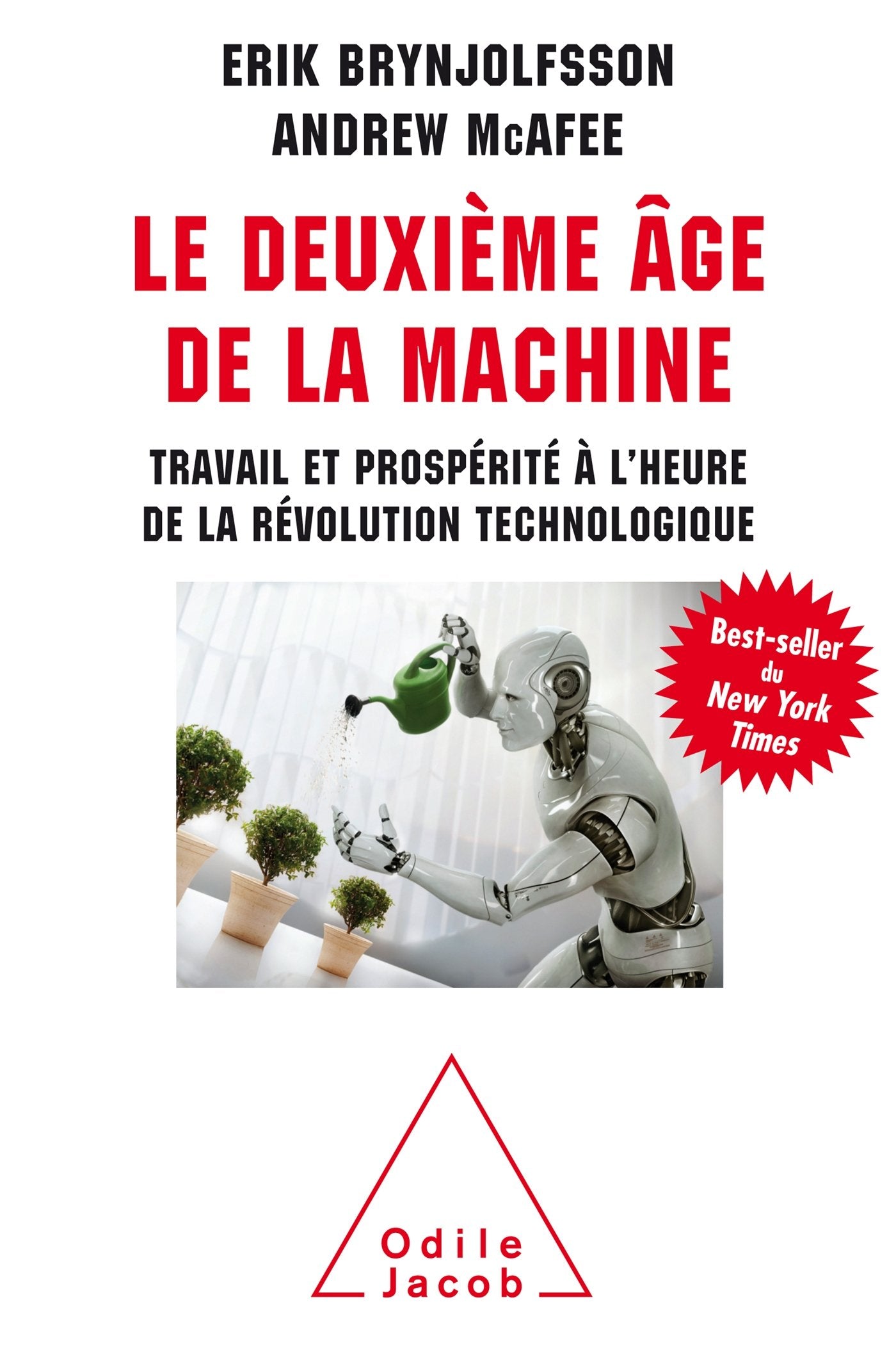 Le Deuxième âge de la machine: Travail et prospérité à l'heure de la révolution technologique 9782738133069