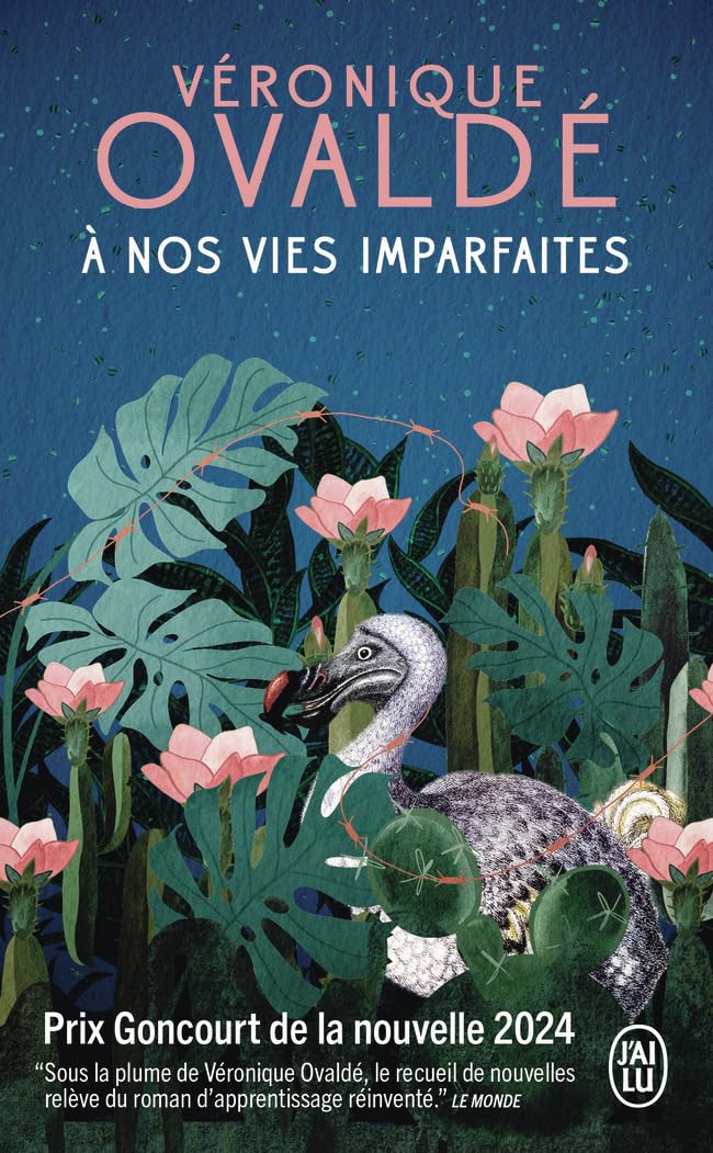 À nos vies imparfaites 9782290413333