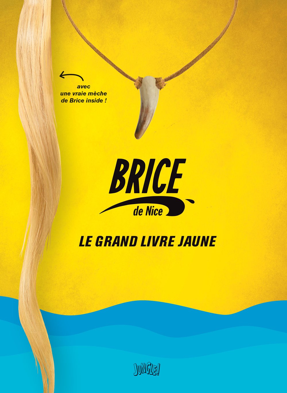 Brice de Nice, le grand livre jaune 9782822215947