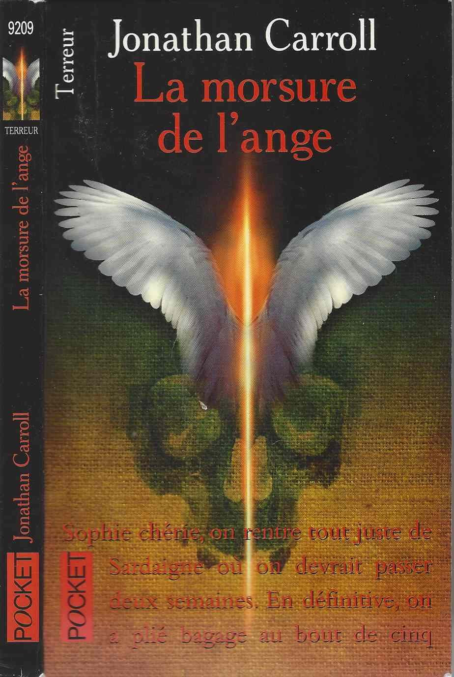La morsure de l'ange 9782266089616