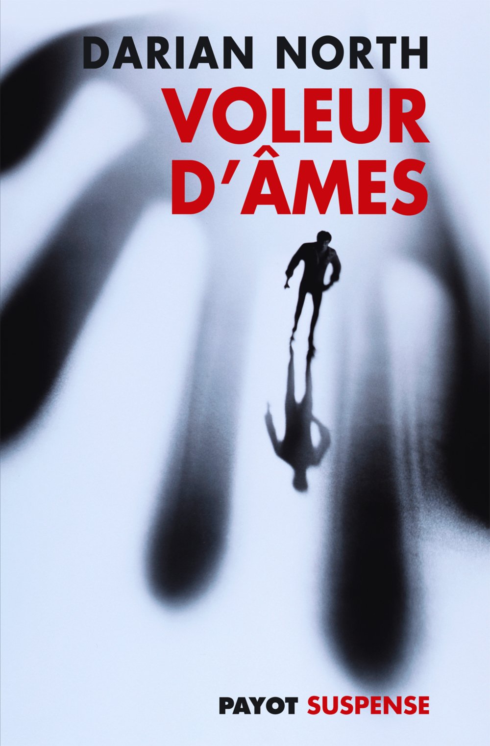 Voleur d'âmes 9782228900270