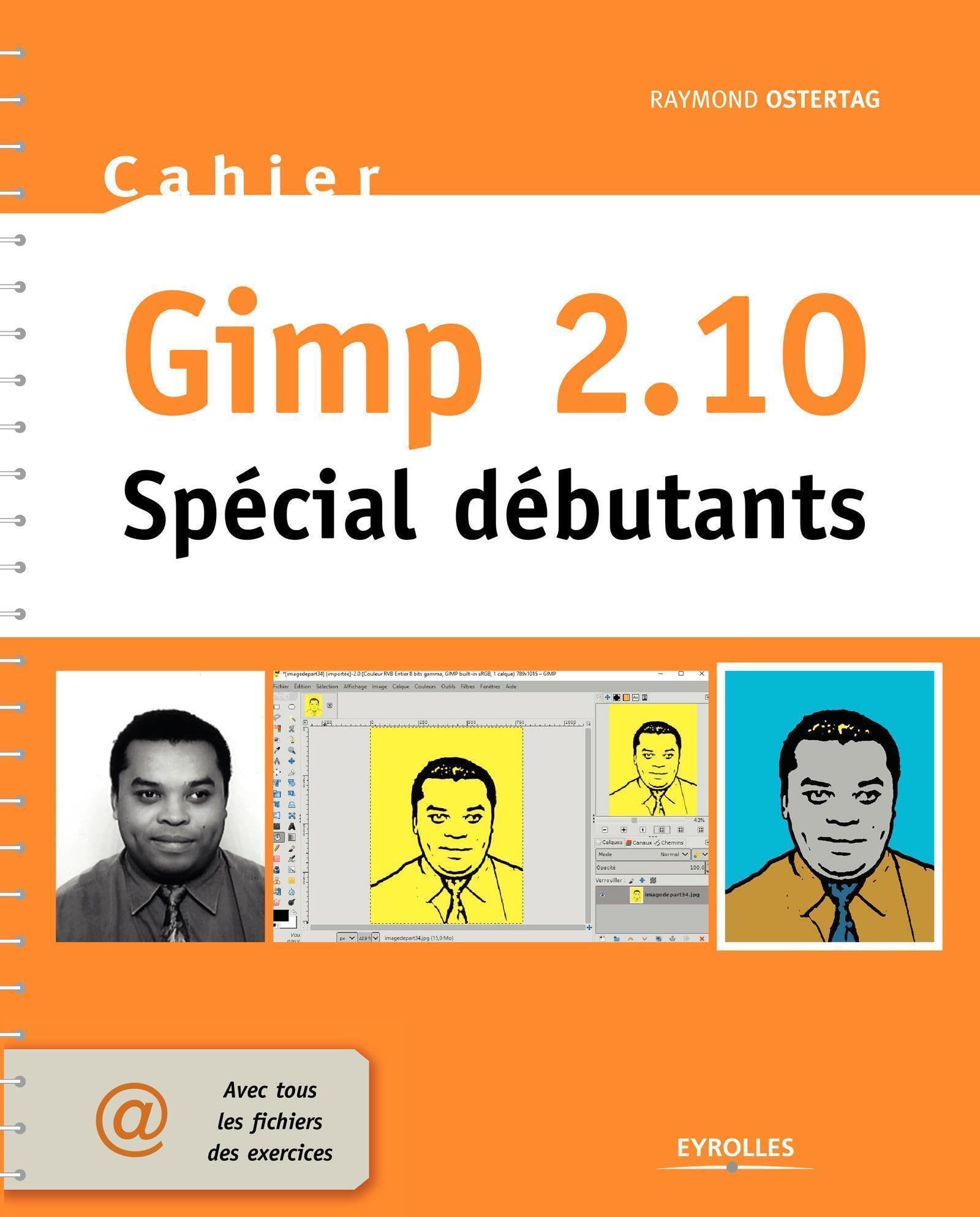 Cahier Gimp 2.10: Spécial débutants 9782212674330