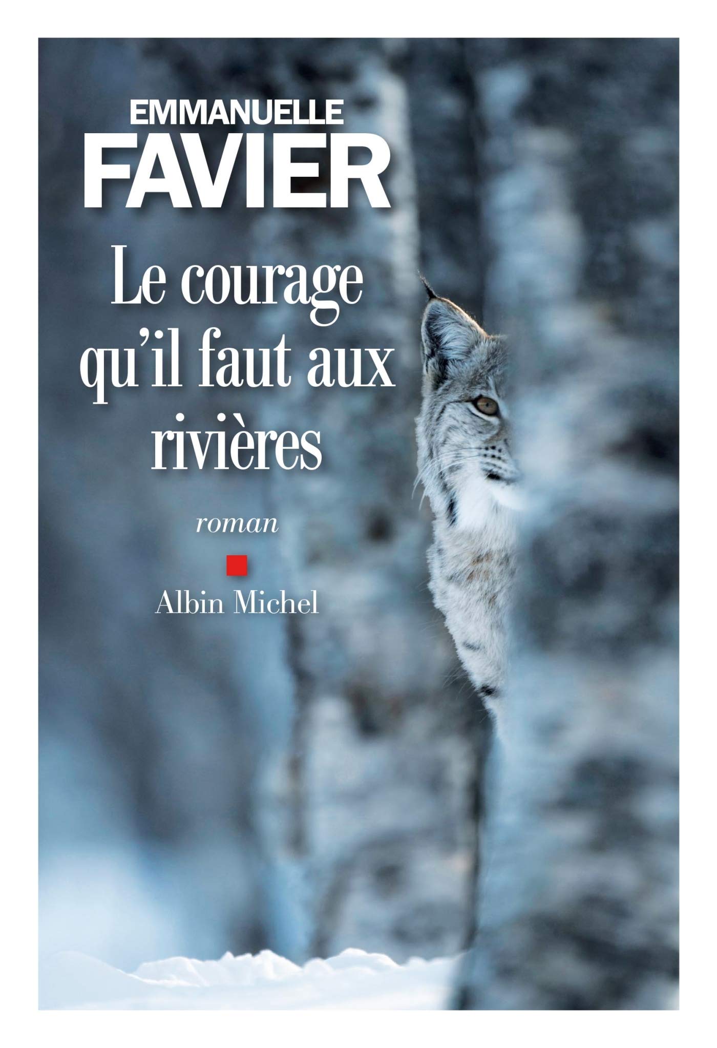 Le Courage qu'il faut aux rivières 9782226400192