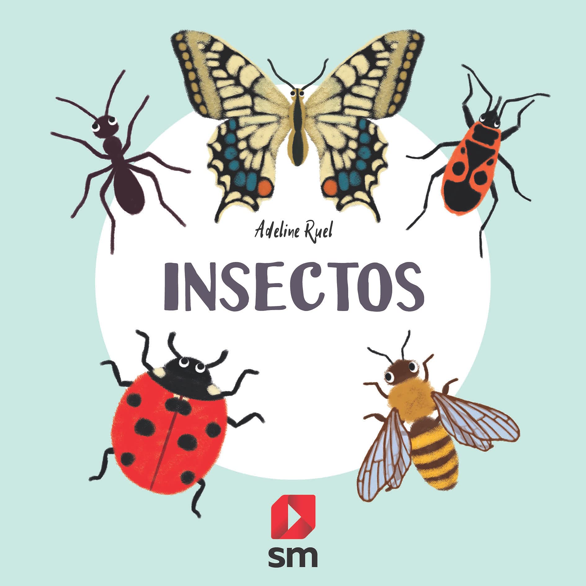 Insectos 9788413188591