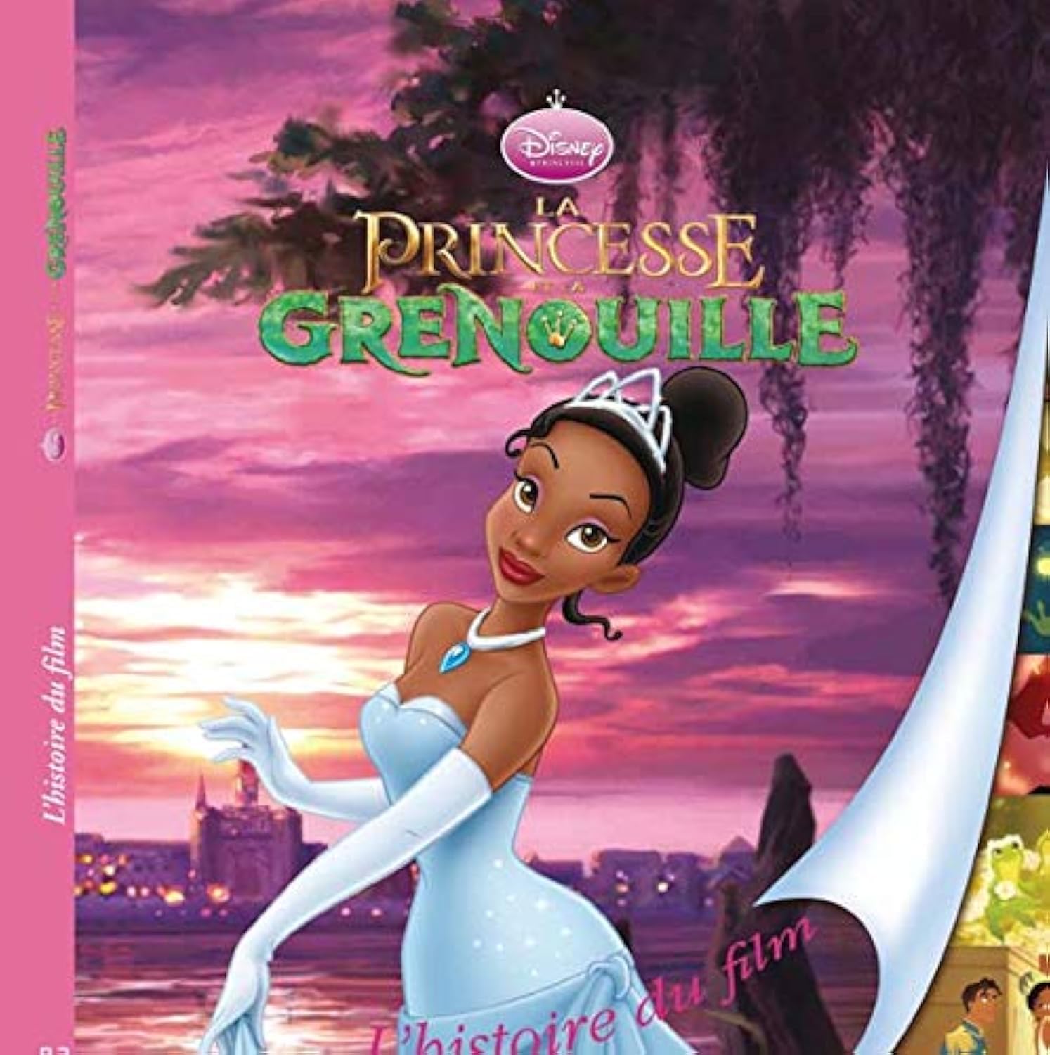 La princesse et la grenouille 9782014634570
