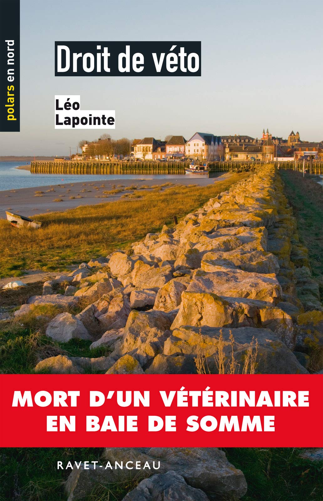Droit de véto 9782359730869
