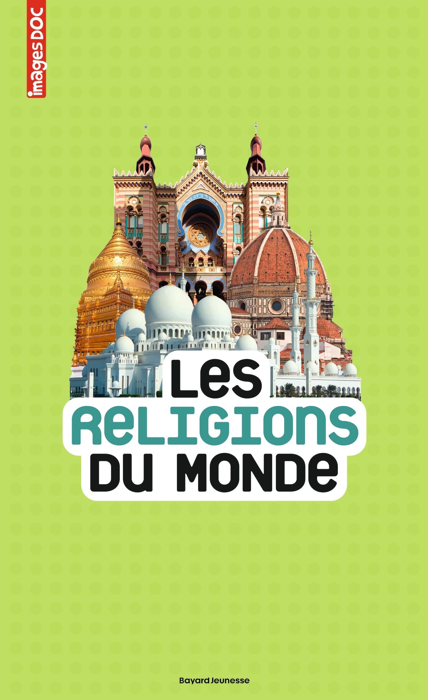 Les religions du monde 9782747062541