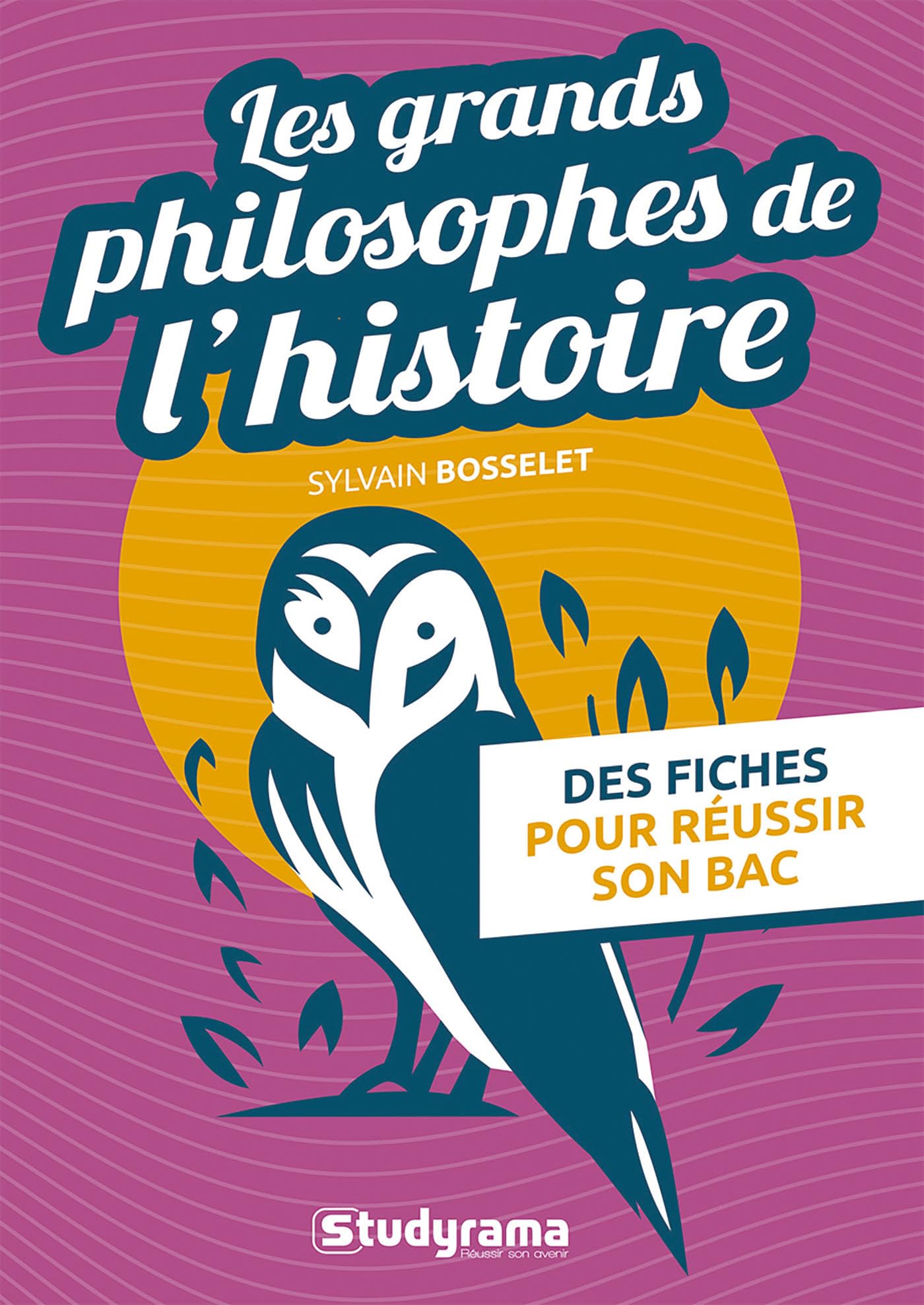 Les grands philosophes de l'histoire: Des fiches pour réussir son bac 9782759055180