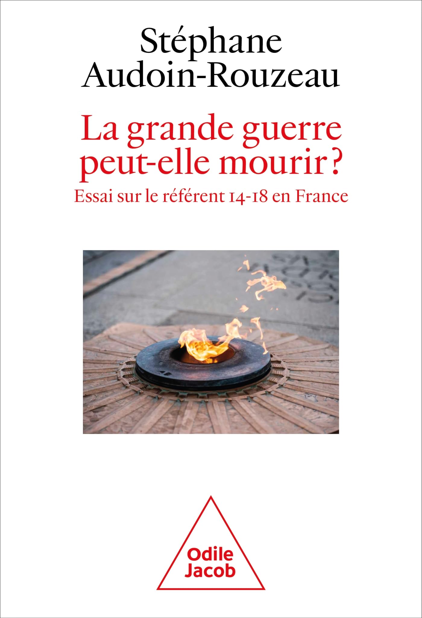 La Grande Guerre peut-elle mourir?: Essai sur le référent 14-18 en France 9782415006266