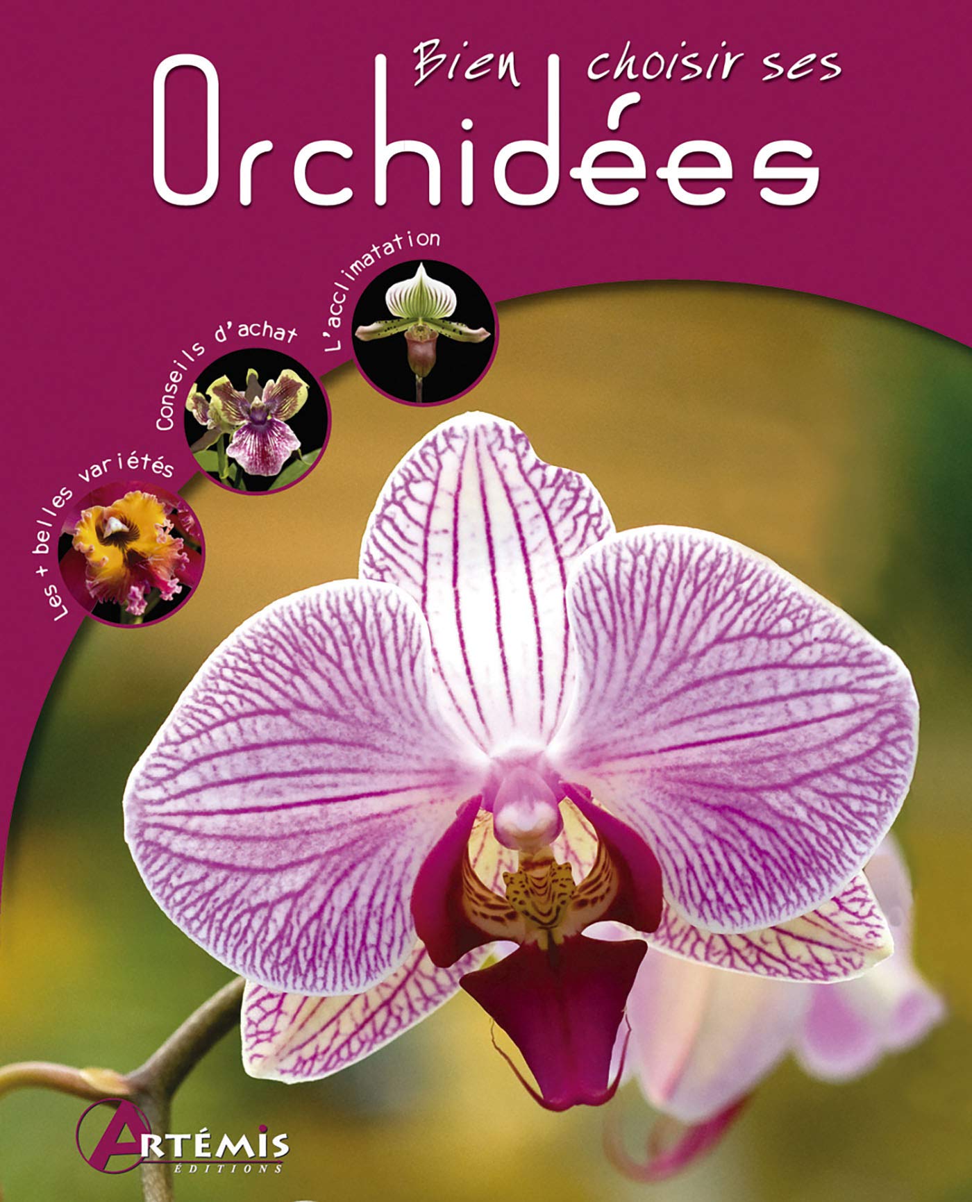 Orchidées (0) 9782844168665