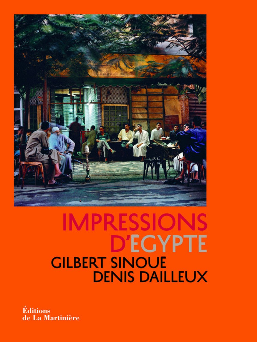 Impressions d'Egypte 9782732443997