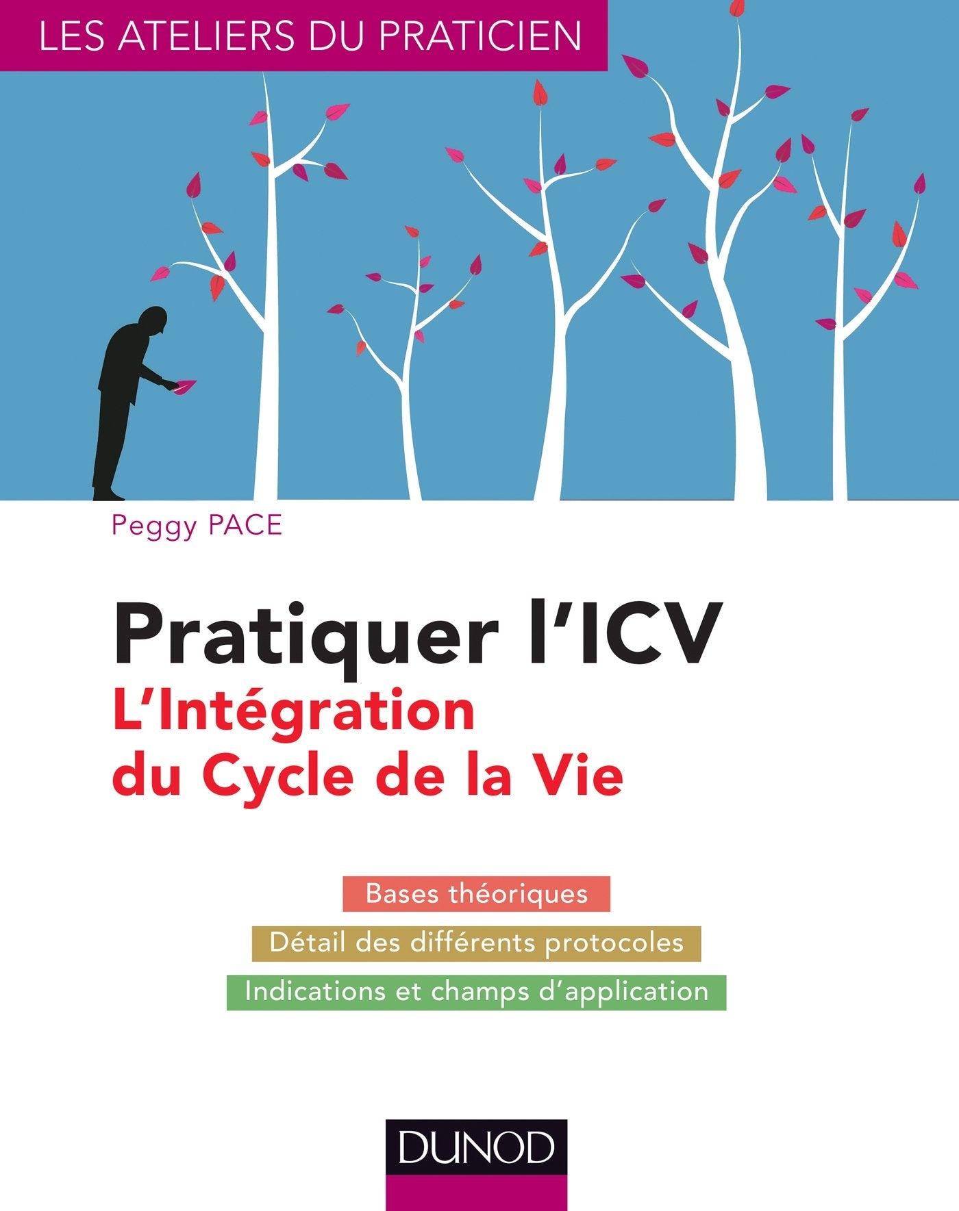 Pratiquer l'ICV: L'Intégration du Cycle de la Vie 9782100705849