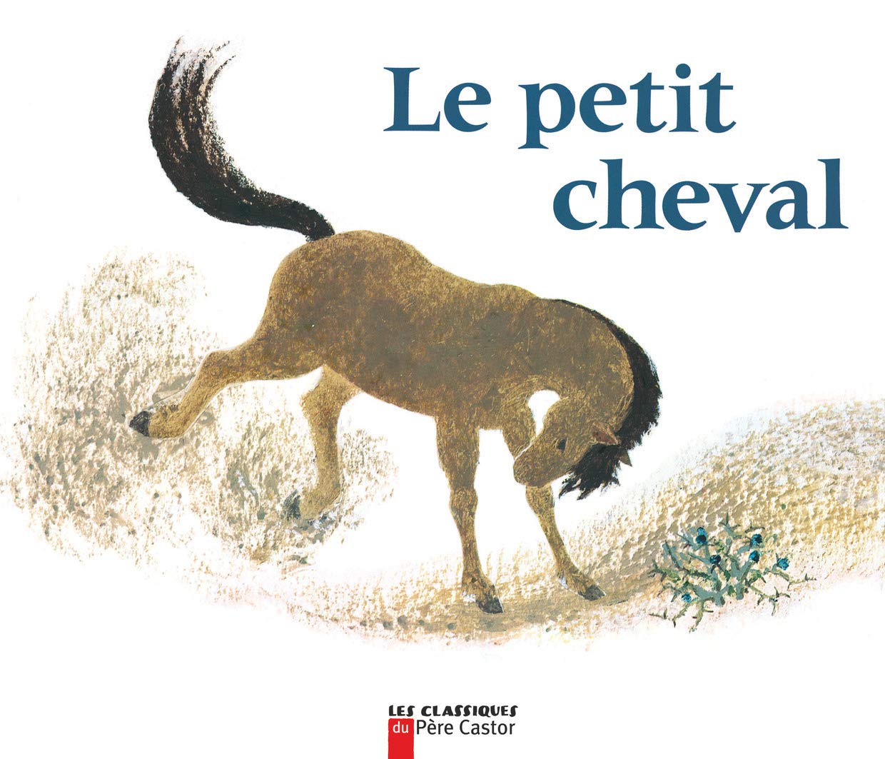 Le Petit Cheval et le Vieux chameau 9782081601253
