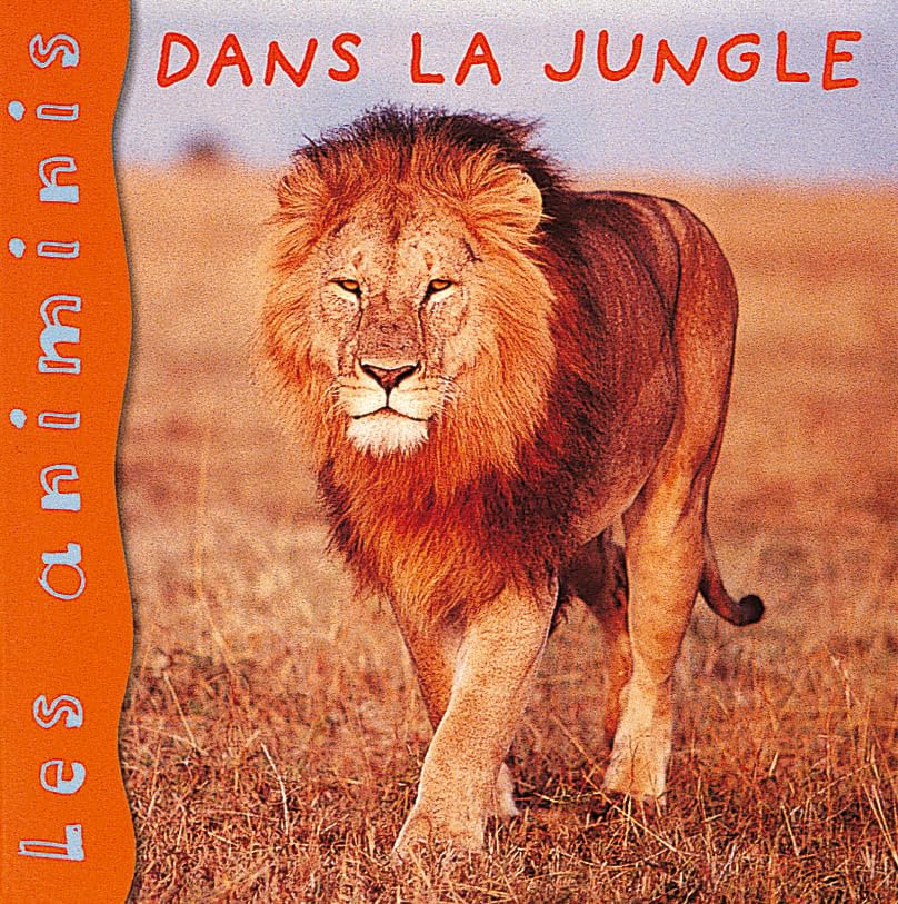 Dans la jungle 9782740411469