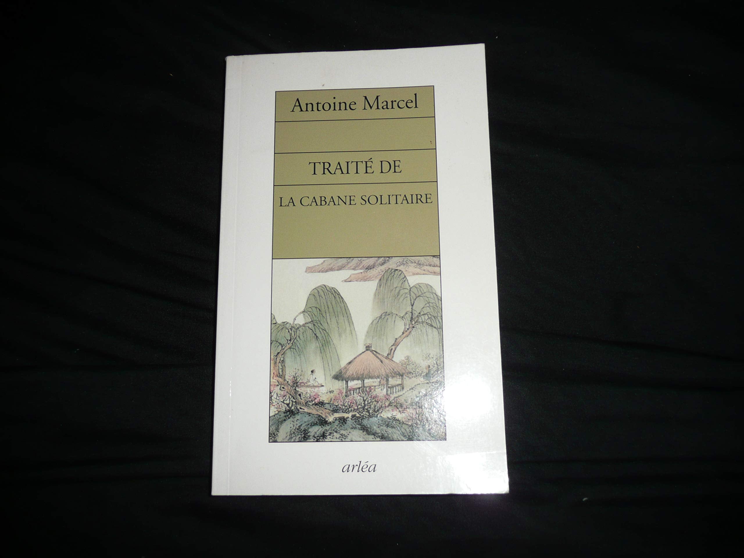 Traité de la cabane solitaire 9782869597471